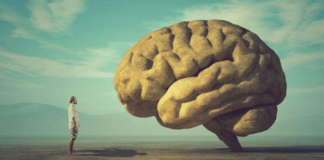 Scienza: gli studi dichiarano che il cervello inizia a declinare a 45 anni