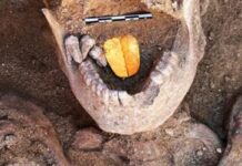 mummie sono state sepolte con una lingua patinata d’oro massiccio